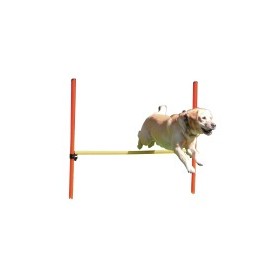 La Haie Agility pour chien