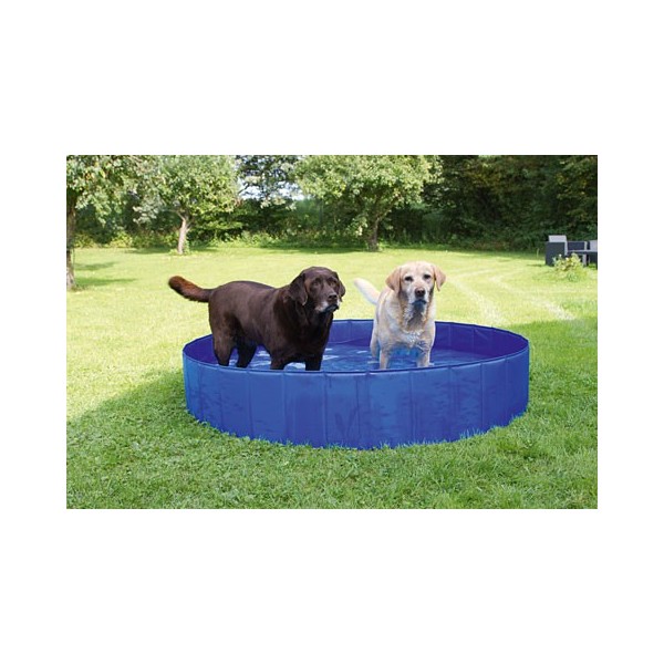 La piscine pour chien