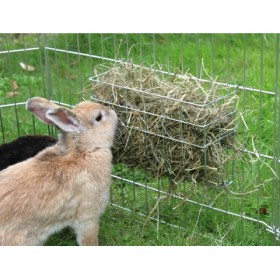 Râtelier pour lapin ou cochon d’inde