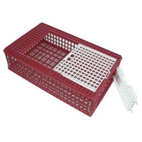 Cage de transport pour poule