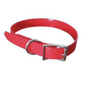 Collier pour chien de chasse