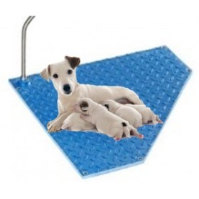 Plaque chauffante pour chenil