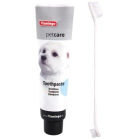 Brosse à dents 2 têtes & dentifrice
