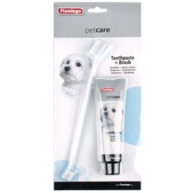 Brosse à dents 2 têtes & dentifrice