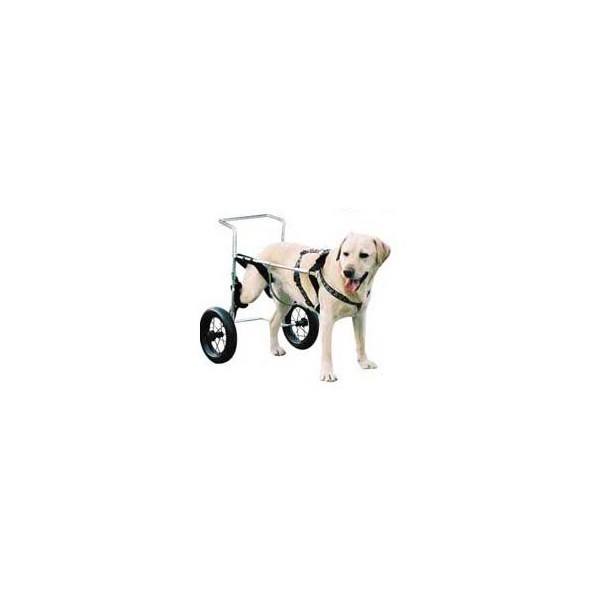 Canis Mobile Chien